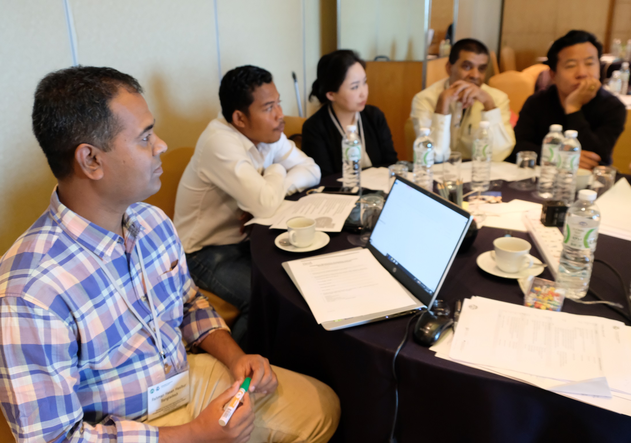 Group work during regional workshop