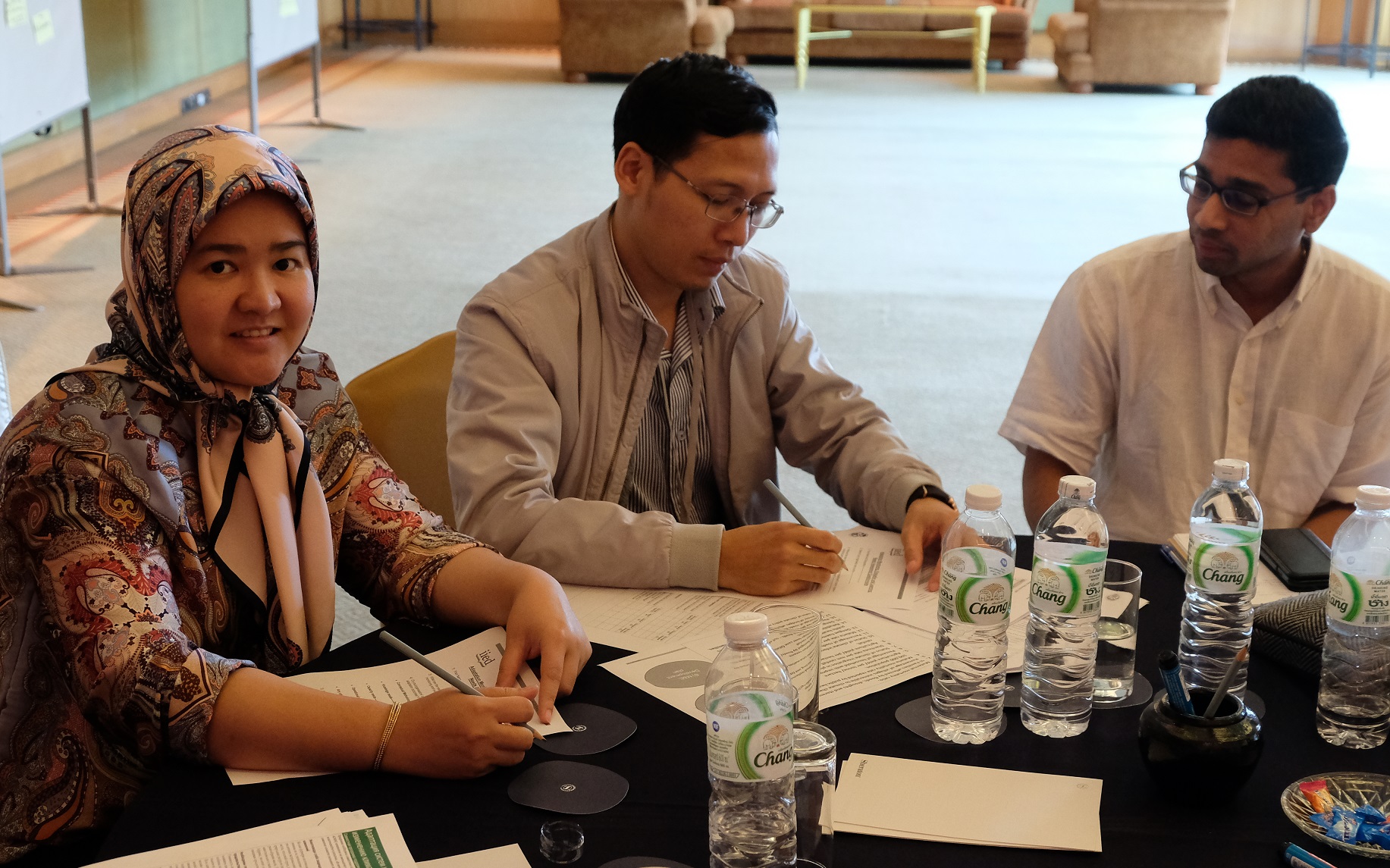 Group work during regional workshop